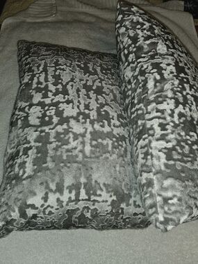 2-Silver Velvet Decorative Pillow Set